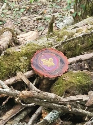 Décoration en bois posée dans le sous-bois le long du sentier pieds nus du Domaine de Larrous – Domaine de Larrous, Gaujacq (Landes)