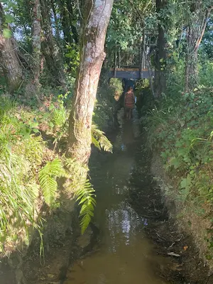 Parcours dans l’eau sous un petit pont en forêt sur le sentier pieds nus du Domaine de Larrous – Domaine de Larrous, Gaujacq (Landes)