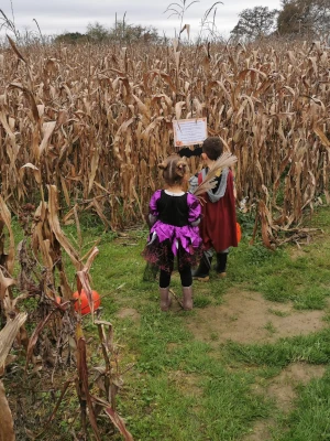 Enfants déguisés pour Halloween explorant un labyrinthe de maïs au Labyrinthe de Chalosse – Domaine de Larrous, Gaujacq (Landes)