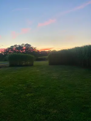 Paysage du Labyrinthe de Chalosse au coucher du soleil offrant une ambiance nature dans les Landes – Domaine de Larrous, Gaujacq (Landes)